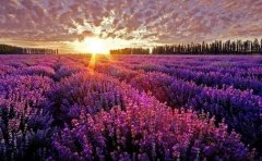 描寫夕陽景色的句子_形容夕陽美景的短句子大全(精選80句)